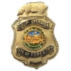 California Department Of Forestry CDF Equipment Operator Fire Mini Badge Pin